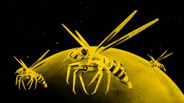 Robot arılar Mars yolunda! Robot arılar Mars yolunda!