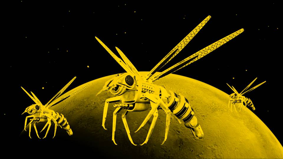 Robot arılar Mars yolunda!