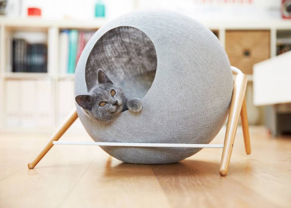 Onlarla yeni bir hayat tasarlayın  Onlarla yeni bir hayat tasarlayın