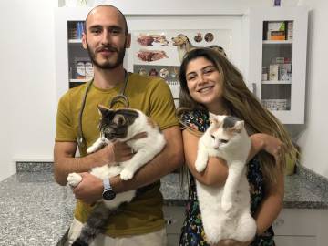 Evcil hayvanlar için acil müdahale aşamaları