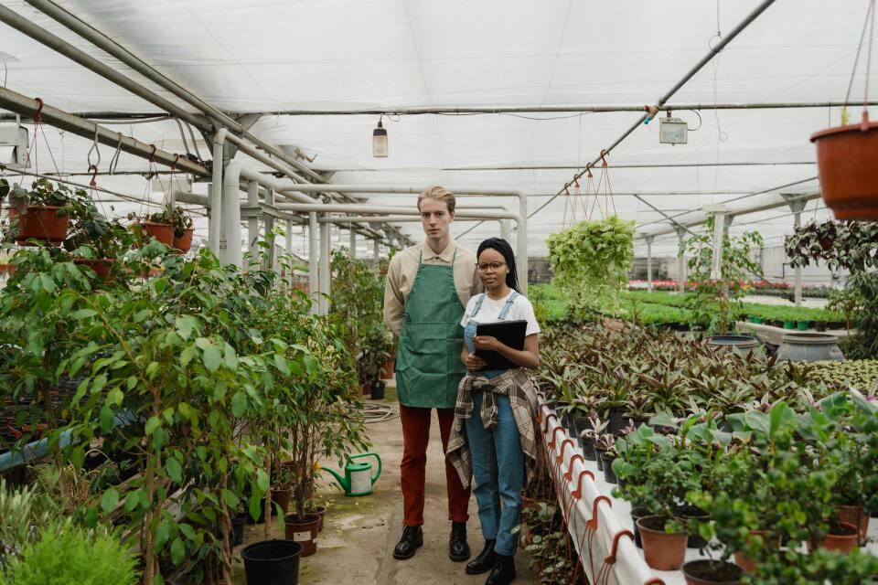 Tarımın yeni gücü akıllı çiftlikler 