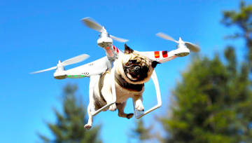 Yeni Nesil Köpek Gezdirme Servisi: Drone'lar!