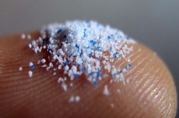 Görünmez tehlike mikroplastik Görünmez tehlike mikroplastik