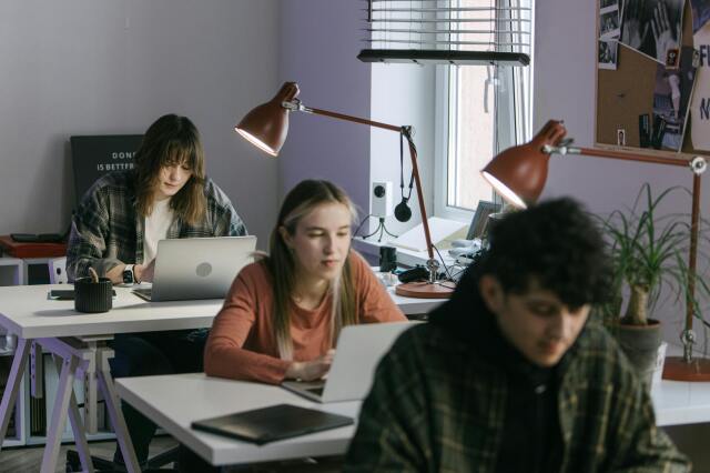 Startup Studio ile girişim üretim fabrikası