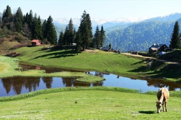 Yeşil ve Mavinin Dansı; Gölyanı Yaylası  Yeşil ve Mavinin Dansı; Gölyanı Yaylası
