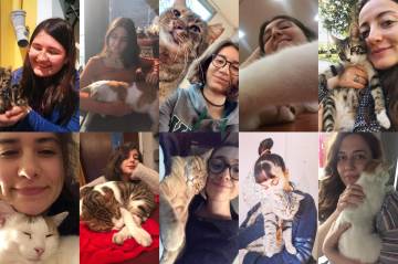 Galatasaray Üniversitesi öğrencilerinden pati seferberliği!