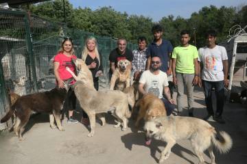 Mutlu hayvanların barınağı: Melekler Şehri