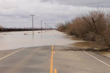 Afet durumunda sosyal medyayı kullanma kılavuzu
