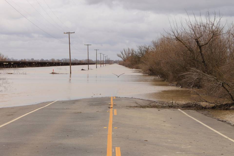 Afet durumunda sosyal medyayı kullanma kılavuzu