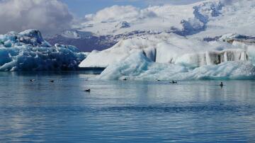 Kuzey Kutbu’nda rekor sıcaklıklar ne anlama geliyor