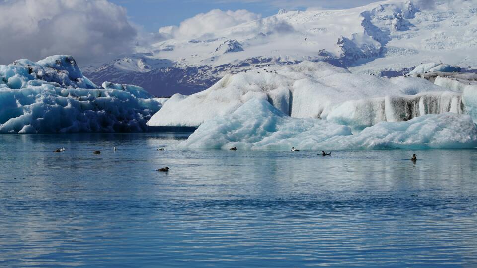 Kuzey Kutbu’nda rekor sıcaklıklar ne anlama geliyor