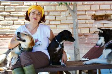 Yedikule Hayvan Barınağı’nın hikayesi