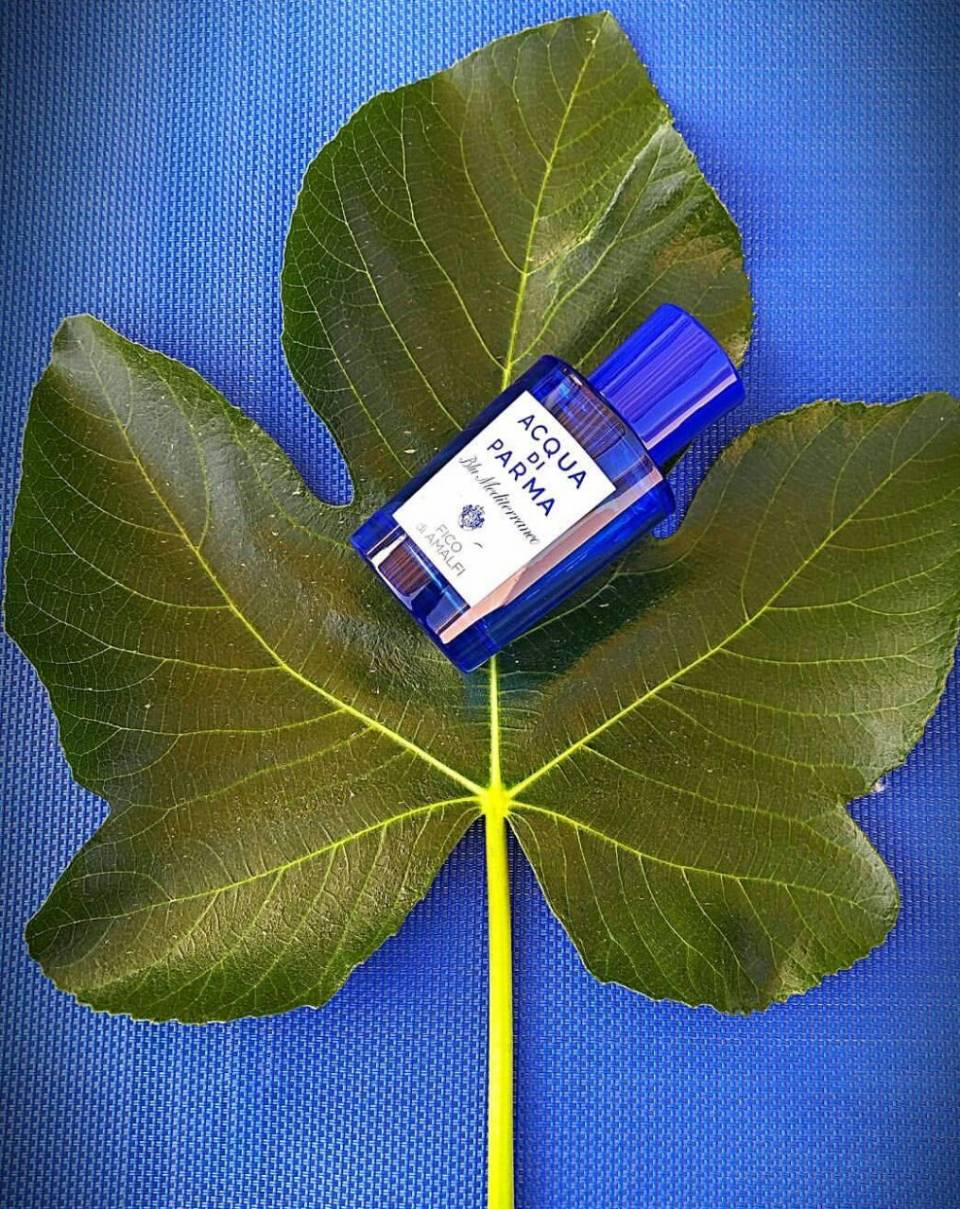 Bir İtalyan esintisi Fico di Amalfi 