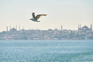 Bayramda şehir içinde gezilebilecek beş gözde nokta Bayramda şehir içinde gezilebilecek beş gözde nokta