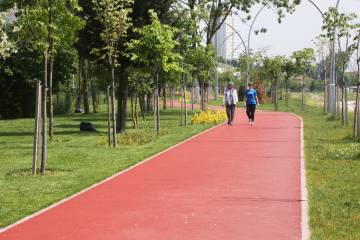 Trending exercises in spring