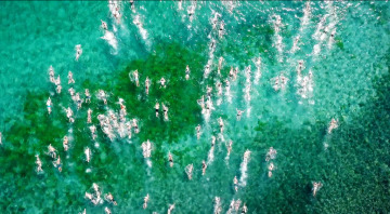 Quick Sigorta 30 Ağustos Zafer Bayramı’nı Çanakkale’de Kutladı