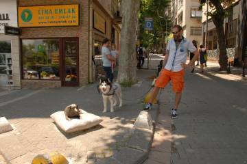 Komşumuz Tarçın’ın anısına...