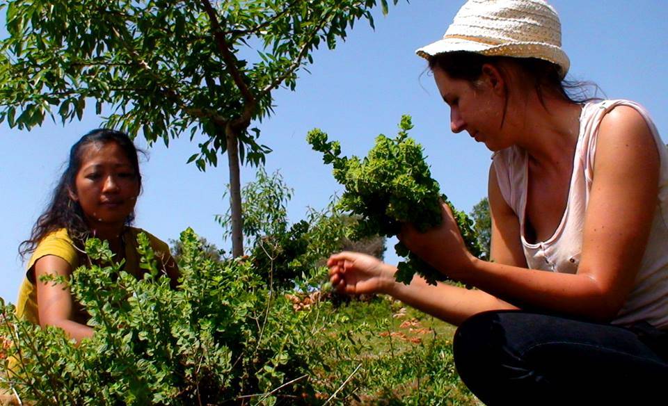 Tarım-Turizm-Takas: TaTuTa!
