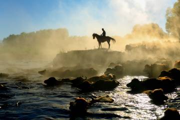 Hörmetçi Köyü’nün Yılkıları