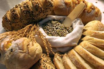 Less carbohydrate decreases life expectancy