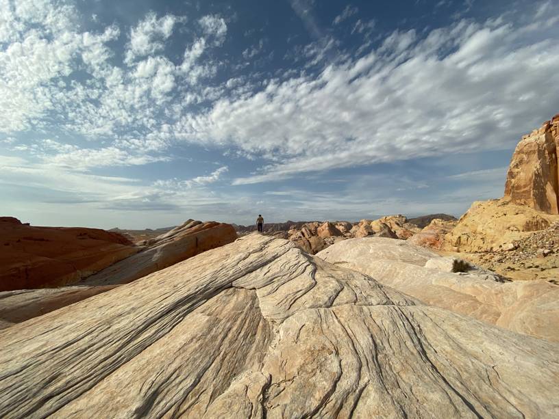 Telefon Yarışlarında Çoklu Kamera Telefon Yarışlarında Çoklu Kamera