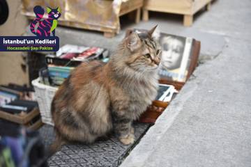 Hocazadeli Şaşı Pakize  Hocazadeli Şaşı Pakize