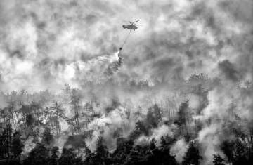 “Insurance from my Angle” Photo Fest, 2019