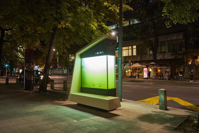 LIQUID3 bir diğer deyişle sıvı ağaçlar.