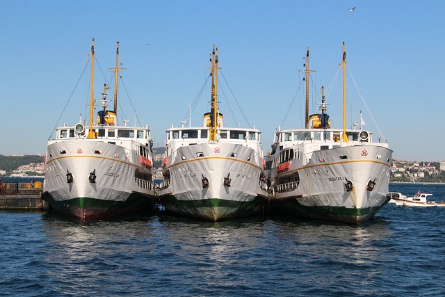 Mobil uygulamaların toplu taşıma sistemlerine ve yolculara sağladığı faydalar Mobil uygulamaların toplu taşıma sistemlerine ve yolculara sağladığı faydalar