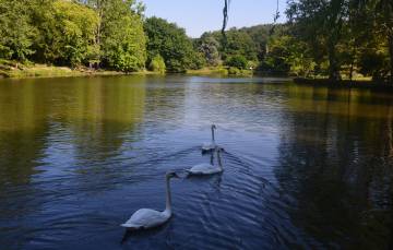Baharda İstanbul bir başka güzel